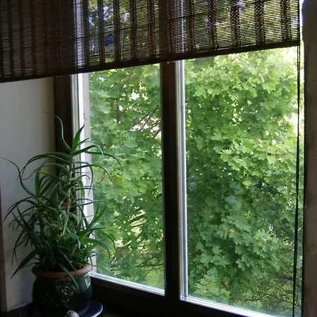 Apartment Sinika